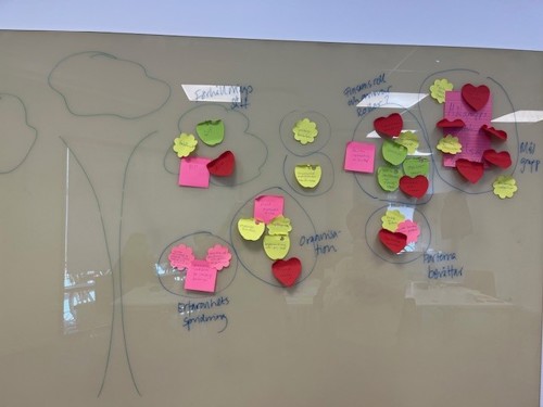 Post it lappar med redovisning över samtalen i gruppen